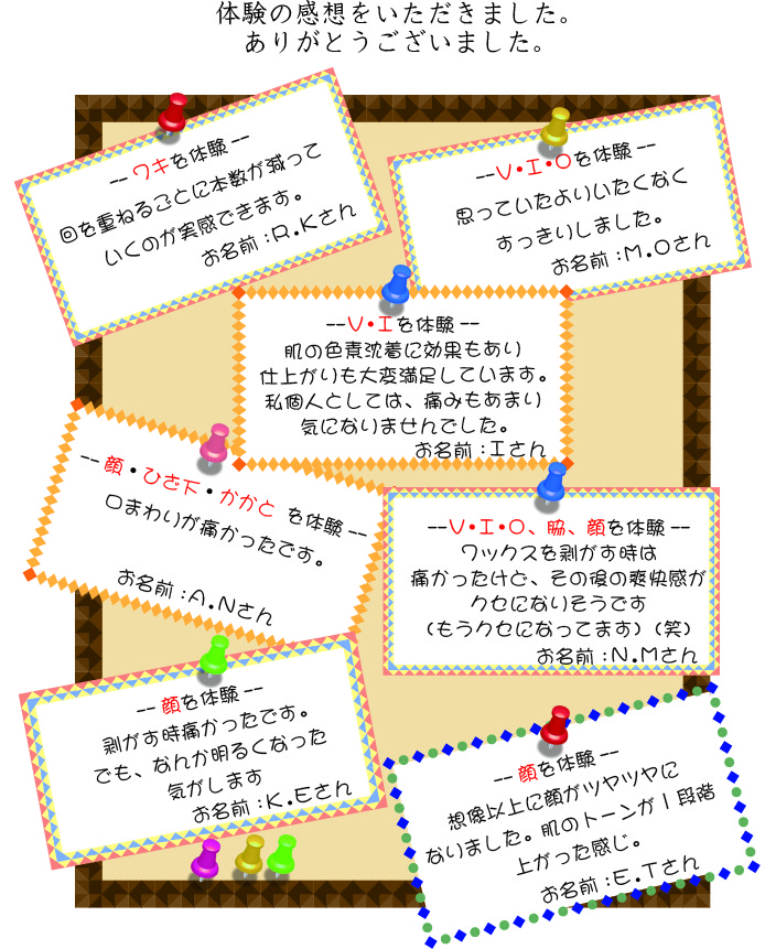 ムダな道路には納税しない！ 財政破綻と公共事業/碧天舎/田島よしのぶ