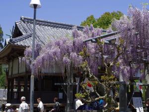 山田日吉神社