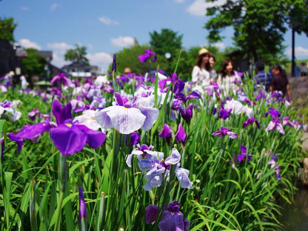 高瀬裏川水際緑地公園