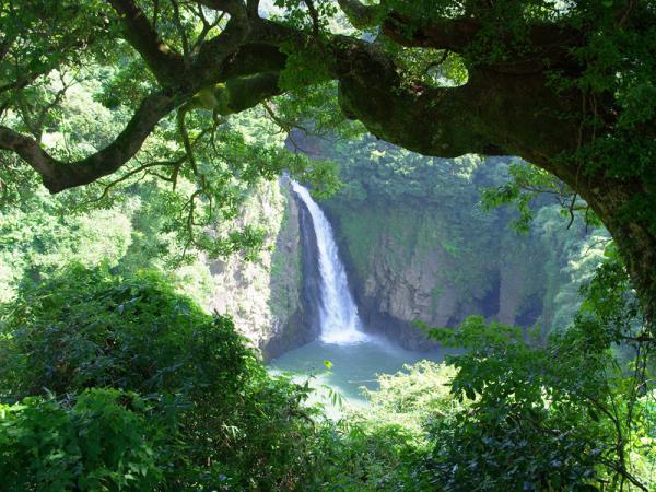 数鹿流ヶ滝