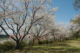 倉塚公園