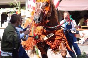 肥後託東會　［藤崎宮秋季例大祭］