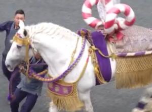 若獅子會　［藤崎宮秋季例大祭］