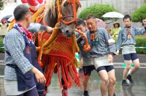 随兵　肥後一會　［藤崎宮秋季例大祭］