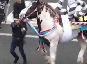 肥後飾馬　悠神會　［藤崎宮秋季例大祭］