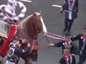 龍誠會　［藤崎宮秋季例大祭］