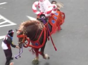 熊工會　［藤崎宮秋季例大祭］